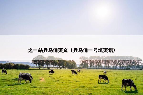 之一站兵马俑英文（兵马俑一号坑英语）