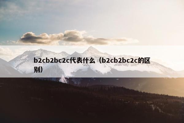 b2cb2bc2c代表什么（b2cb2bc2c的区别）