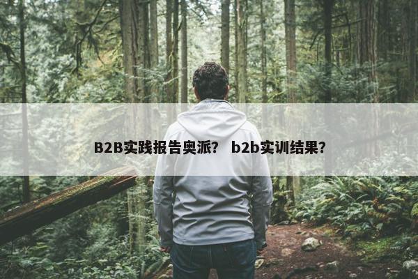 B2B实践报告奥派？ b2b实训结果？
