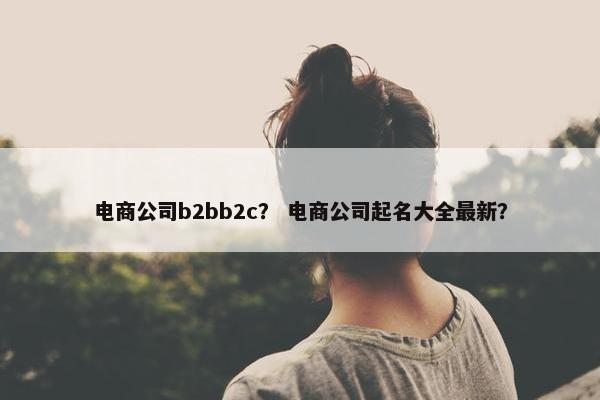 电商公司b2bb2c？ 电商公司起名大全最新？