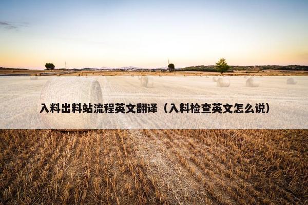 入料出料站流程英文翻译（入料检查英文怎么说）