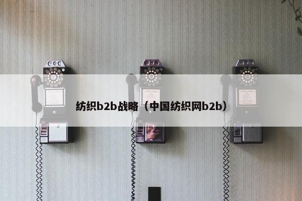 纺织b2b战略（中国纺织网b2b）