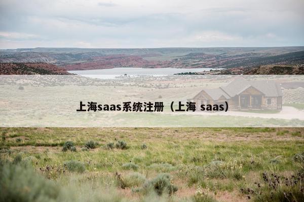 上海saas系统注册（上海 saas）