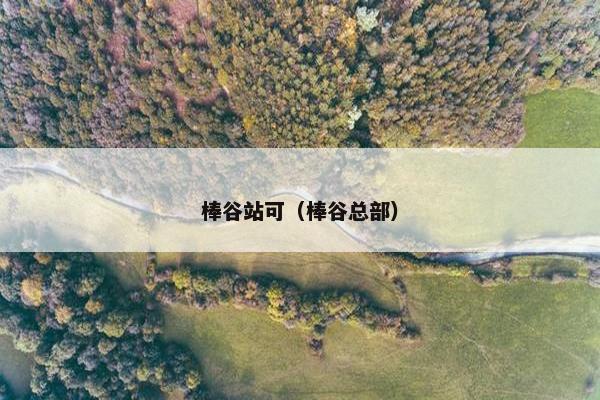 棒谷站可（棒谷总部）