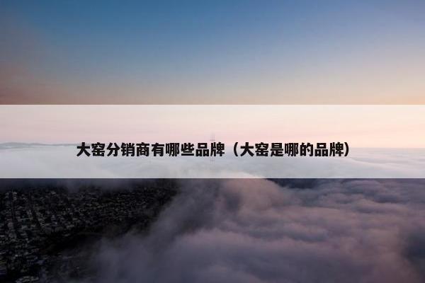 大窑分销商有哪些品牌（大窑是哪的品牌）