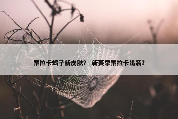 索拉卡蝎子新皮肤？ 新赛季索拉卡出装？