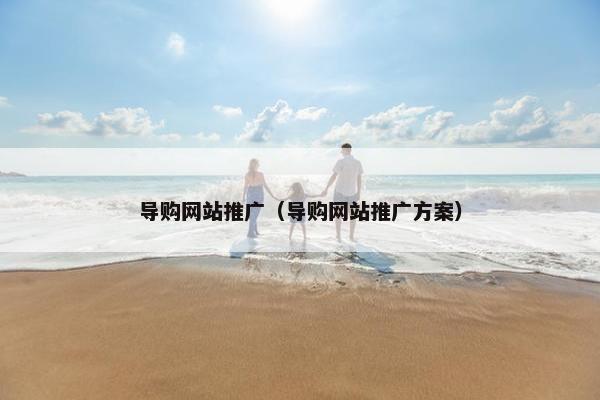 导购网站推广（导购网站推广方案）