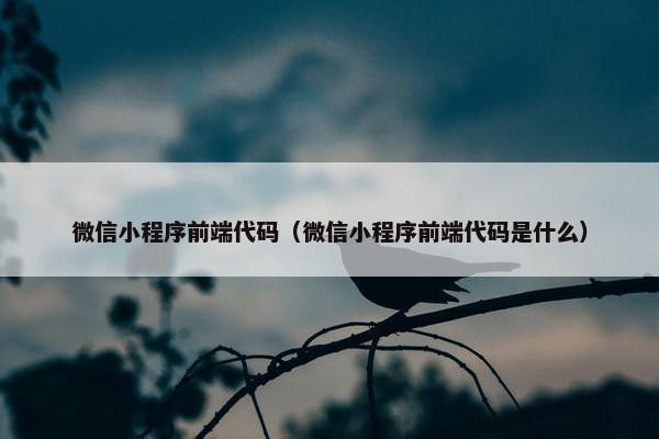 微信小程序前端代码（微信小程序前端代码是什么）