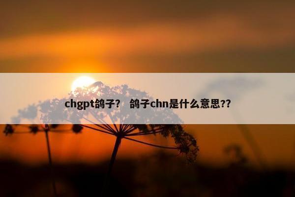 chgpt鸽子？ 鸽子chn是什么意思?？