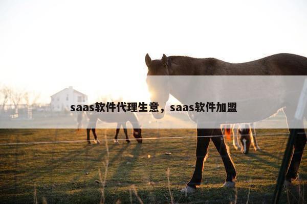 saas软件代理生意，saas软件加盟