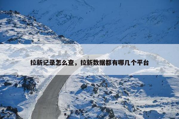 拉新记录怎么查，拉新数据都有哪几个平台
