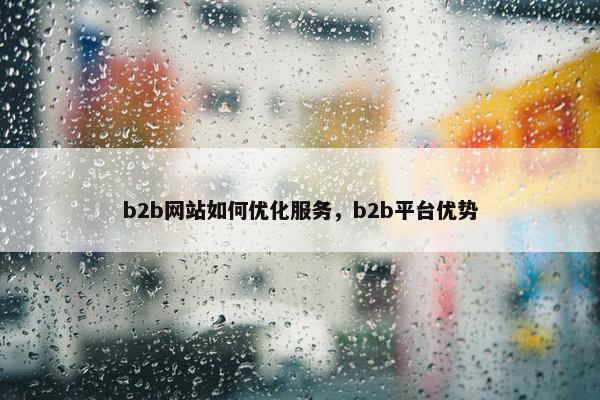 b2b网站如何优化服务，b2b平台优势