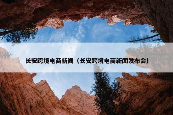 长安跨境电商新闻（长安跨境电商新闻发布会）