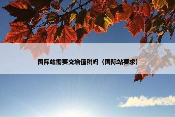 国际站需要交增值税吗（国际站要求）