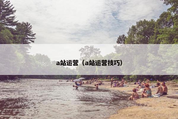a站运营（a站运营技巧）