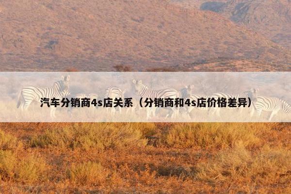 汽车分销商4s店关系（分销商和4s店价格差异）