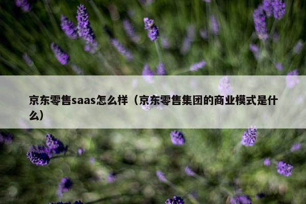京东零售saas怎么样（京东零售集团的商业模式是什么）