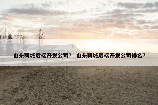 山东聊城后端开发公司？ 山东聊城后端开发公司排名？