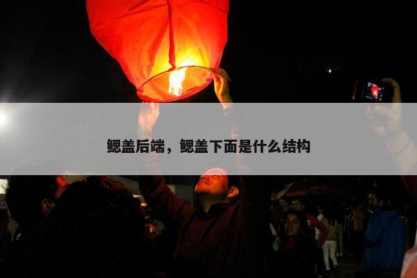 鳃盖后端，鳃盖下面是什么结构