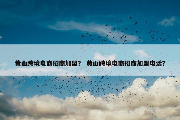 黄山跨境电商招商加盟？ 黄山跨境电商招商加盟电话？