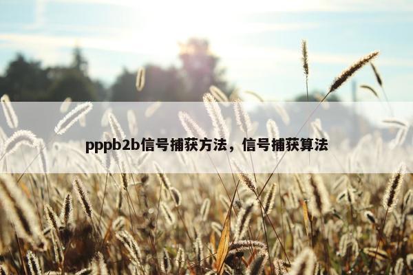 pppb2b信号捕获方法，信号捕获算法