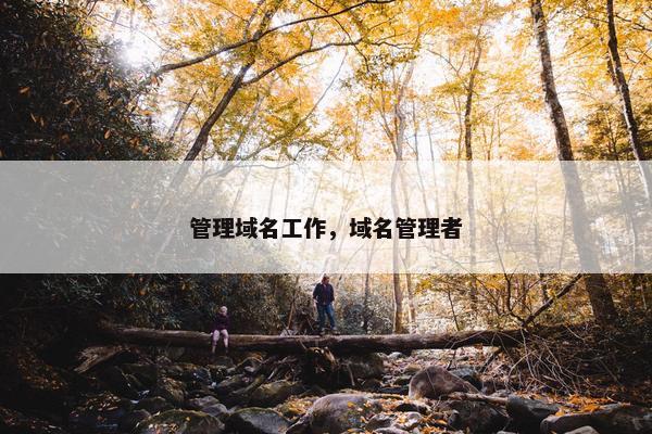 管理域名工作，域名管理者
