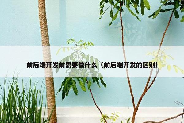 前后端开发前需要做什么（前后端开发的区别）