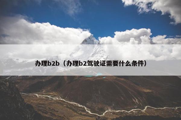 办理b2b（办理b2驾驶证需要什么条件）