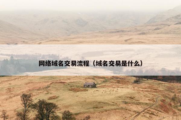 网络域名交易流程（域名交易是什么）
