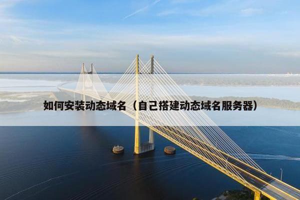 如何安装动态域名（自己搭建动态域名服务器）