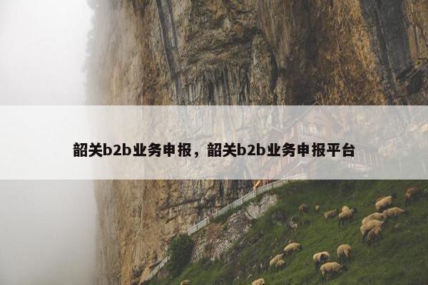 韶关b2b业务申报，韶关b2b业务申报平台