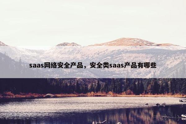 saas网络安全产品，安全类saas产品有哪些