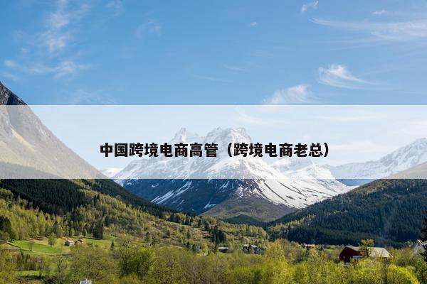 中国跨境电商高管（跨境电商老总）