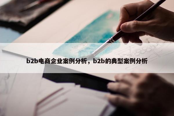 b2b电商企业案例分析，b2b的典型案例分析