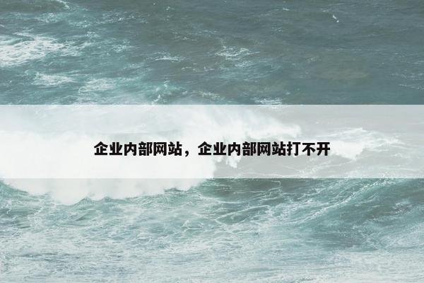 企业内部网站，企业内部网站打不开