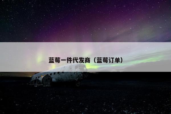 蓝莓一件代发商（蓝莓订单）