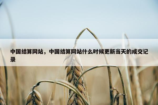 中国结算网站，中国结算网站什么时候更新当天的成交记录