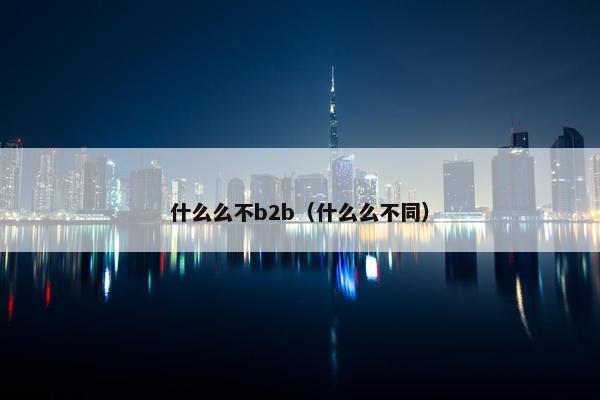 什么么不b2b（什么么不同）
