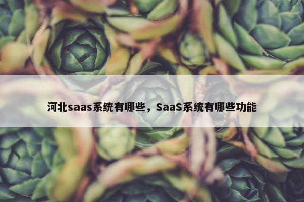 河北saas系统有哪些，SaaS系统有哪些功能