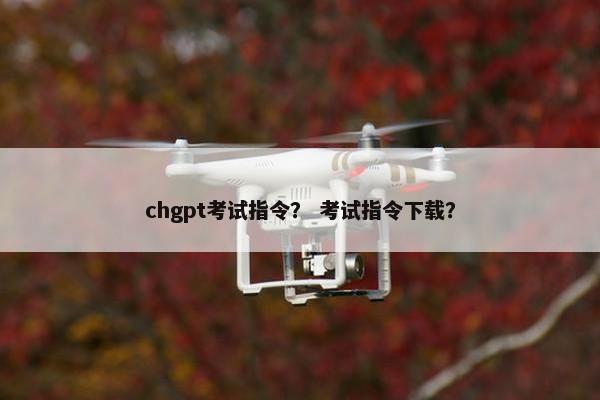 chgpt考试指令？ 考试指令下载？