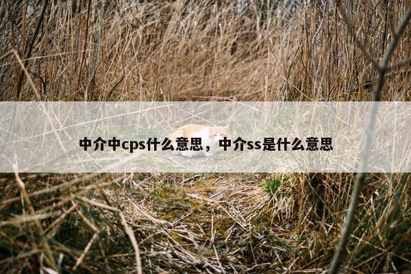 中介中cps什么意思，中介ss是什么意思