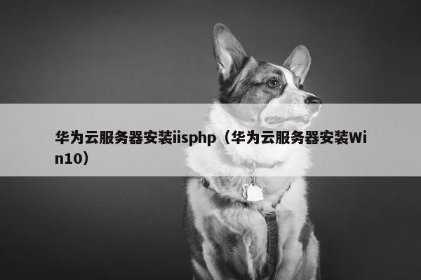 华为云服务器安装iisphp（华为云服务器安装Win10）