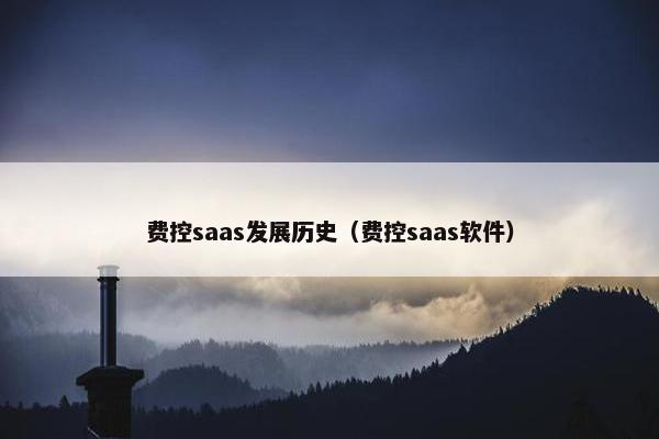 费控saas发展历史（费控saas软件）