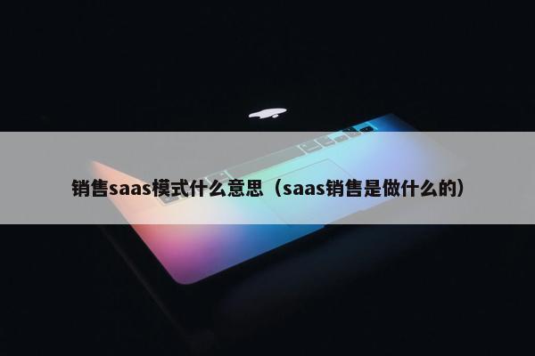 销售saas模式什么意思（saas销售是做什么的）
