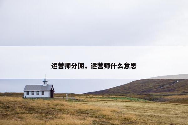 运营师分佣，运营师什么意思