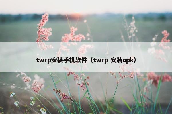 twrp安装手机软件（twrp 安装apk）