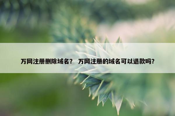 万网注册删除域名？ 万网注册的域名可以退款吗？