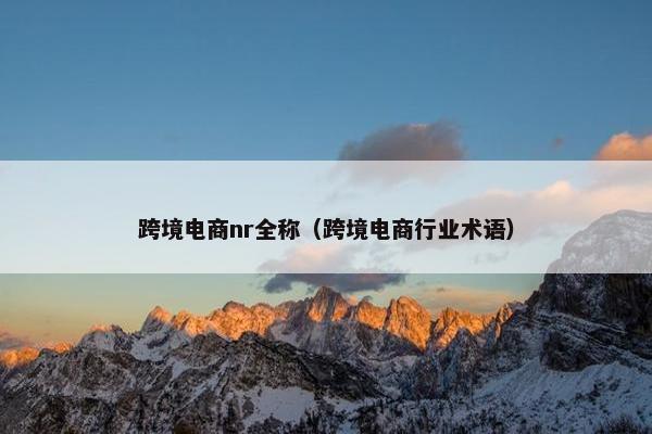 跨境电商nr全称（跨境电商行业术语）