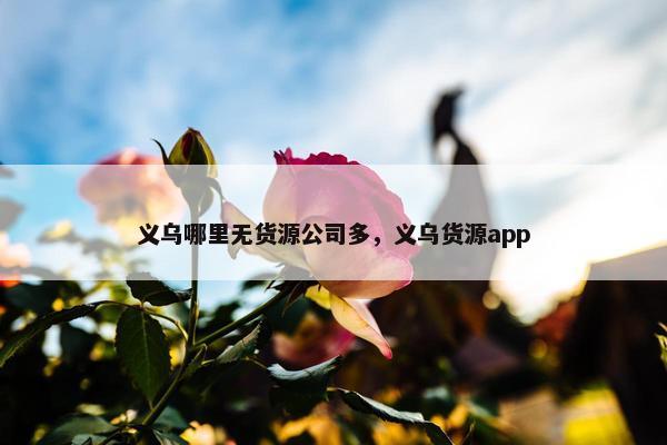 义乌哪里无货源公司多，义乌货源app