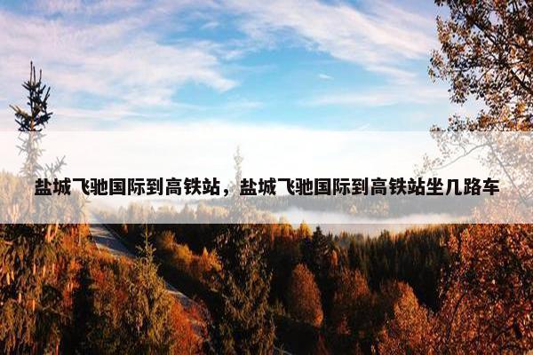 盐城飞驰国际到高铁站，盐城飞驰国际到高铁站坐几路车
